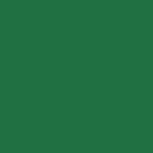 Medieval linen belt XIV-XV cent. : Color (Green)